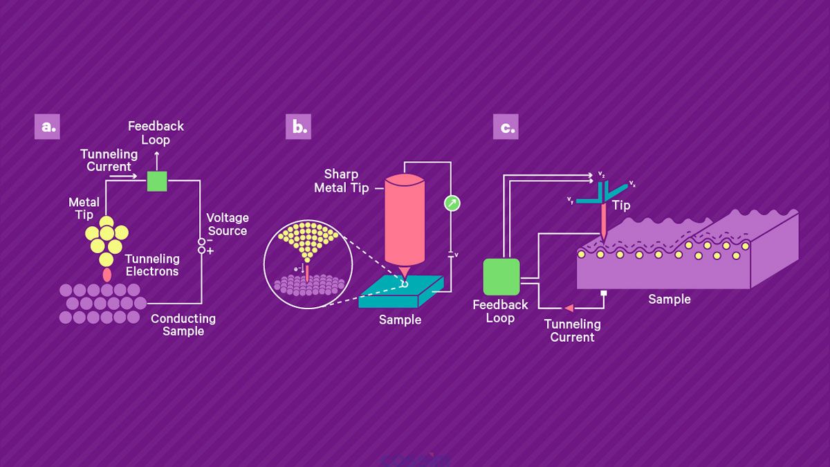 掃描隧道顯微鏡的工作原理。 a) 將鋒利的導(dǎo)電尖端靠近導(dǎo)電樣品表面并施加偏置電壓，從而產(chǎn)生穿過間隙的小隧道電流。 該電流由高增益放大器讀出。 b) 壓電掃描系統(tǒng)用于控制尖端與表面的分離并在表面上掃描尖端。 當尖端保持在恒定高度時，電流幅度可用作尖端表面分離的直接測量，從而實現(xiàn)地形成像。 或者，可以使用反饋回路通過改變定位系統(tǒng)的控制電壓來保持恒定電流，該控制電壓被記錄下來并產(chǎn)生樣品上的形貌和電子密度的測量值。
