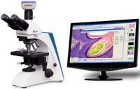 BK系列臨床、實(shí)驗(yàn)室生物顯微鏡